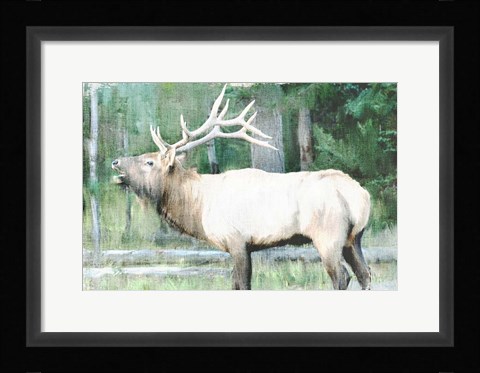 Framed Linen Pressed Elk Print