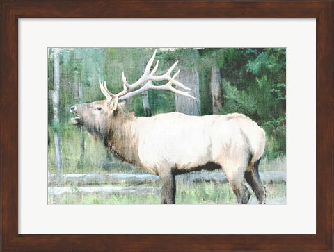 Framed Linen Pressed Elk Print