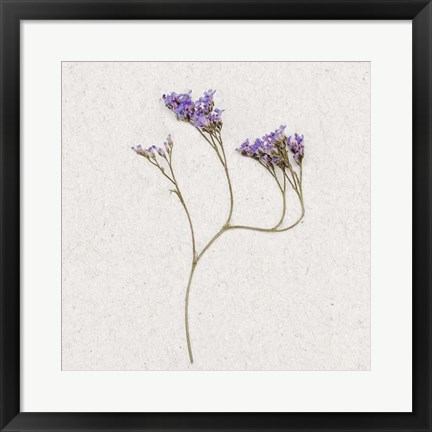 Framed Dainty Purple 2 Print