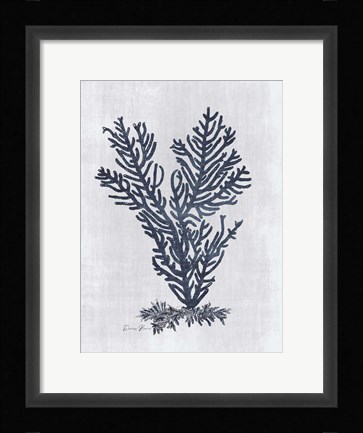 Framed Sea Fan 2 v2 Print