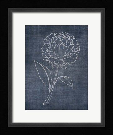 Framed White Peony on Navy 1 Print