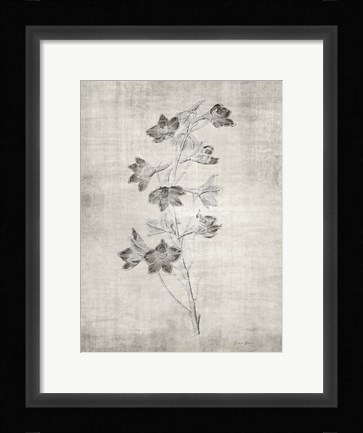 Framed Sepia Botanical 3 Print