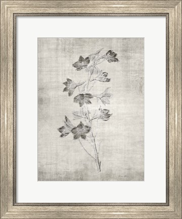 Framed Sepia Botanical 3 Print