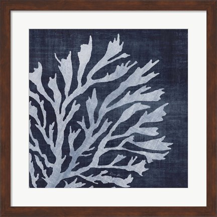 Framed Seaweed 2 Print