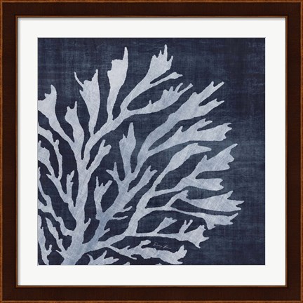 Framed Seaweed 2 Print