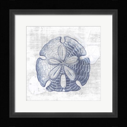 Framed Sand Dollar 1 v2 Print