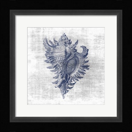 Framed Sea Life 1 Print