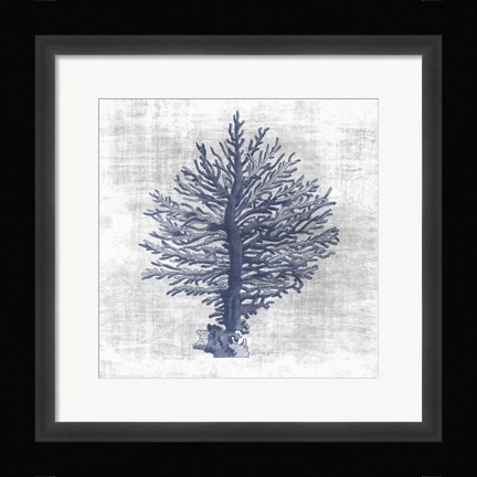 Framed Sea Life 2 Print