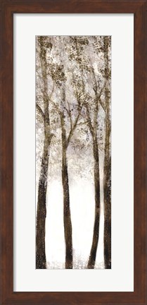 Framed Wooded Grove 1 Print