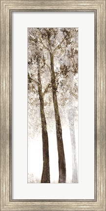 Framed Wooded Grove 2 Print