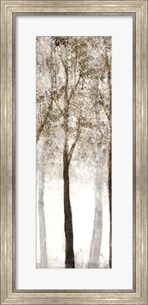 Framed Wooded Grove 3 Print