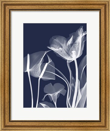 Framed Navy Flora 2 Print