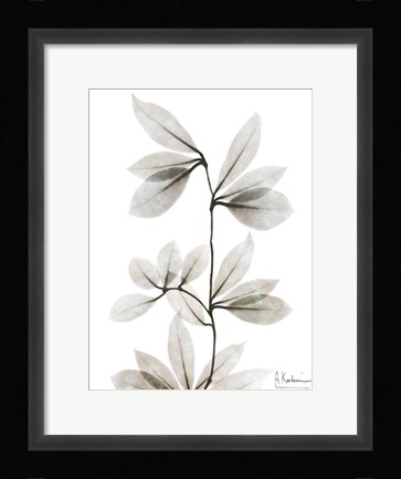 Framed Sandy Wonder 3 Print