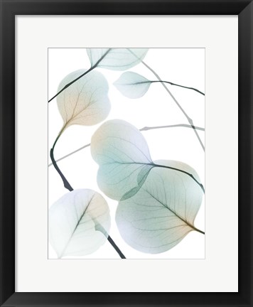 Framed Sunkissed Eternity 2 Print