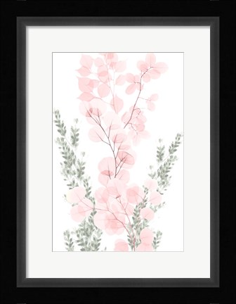 Framed Blushing Bouquet 1 Print