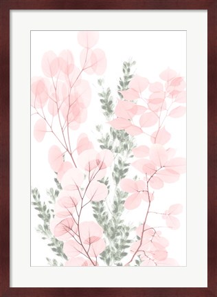 Framed Blushing Bouquet 2 Print