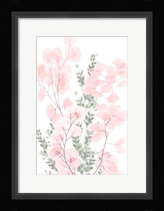 Framed Blushing Bouquet 2 Print