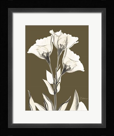 Framed Gentian Fall Print