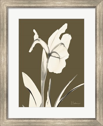 Framed Iris Fall Print