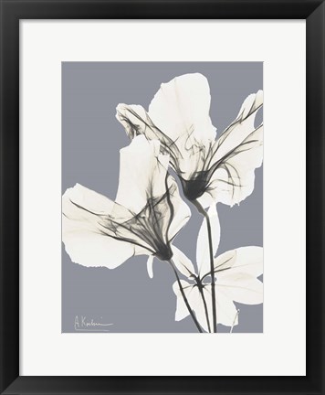 Framed Splendid Autumn Beauty 2 Print