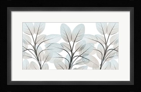 Framed Sandy Beauty 1 Print