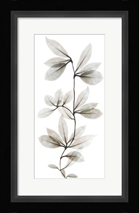 Framed Sandy Wonder 1 Print