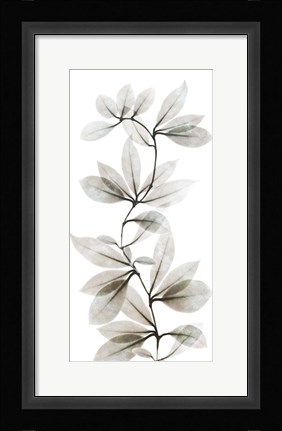 Framed Sandy Wonder 2 Print