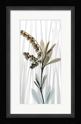 Framed Suave Snowdrops 1 Print