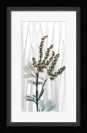 Framed Suave Snowdrops 2 Print