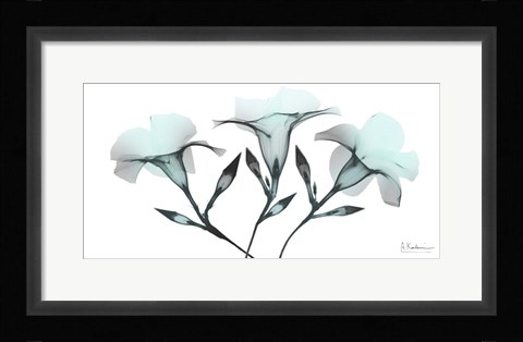 Framed Mandelilla Mist 1 Print