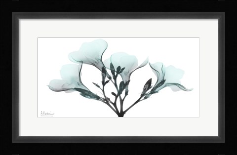 Framed Oleander Mist 1 Print