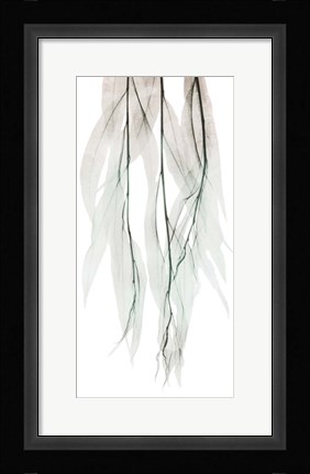 Framed Seashore Growth 1 Print