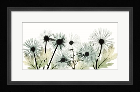 Framed Crystal Brilliance 2 Print