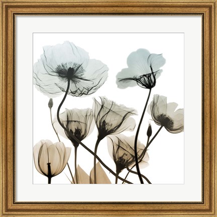 Framed Sandy Floral Cluster 2 Print