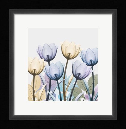 Framed Tulip Collage 1 Print