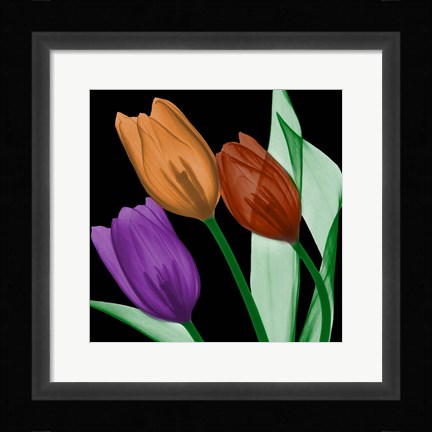 Framed Jeweled Tulips 4 Print