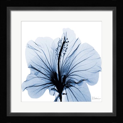 Framed Indigo Hibiscus Print