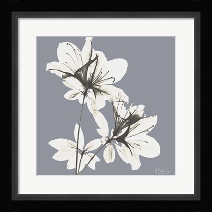 Framed Splendid Neutral Beauty 1 Print