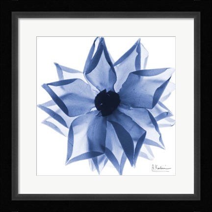 Framed Indigo Rose Petals 1 Print