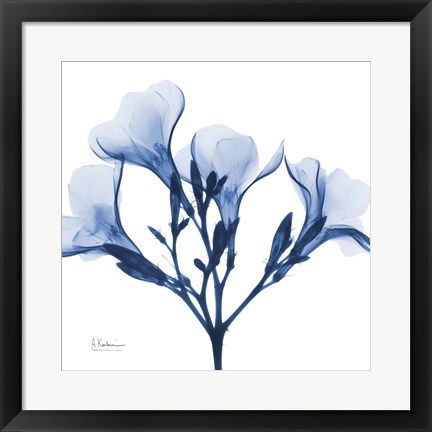 Framed Indigo Oleander Print