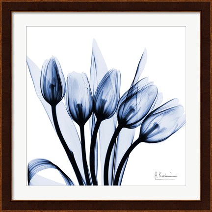 Framed Marvelous Indigo Tulips Print
