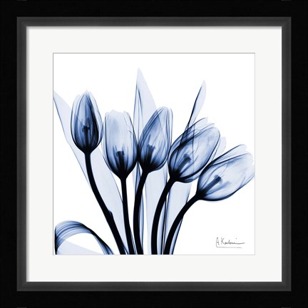 Framed Marvelous Indigo Tulips Print