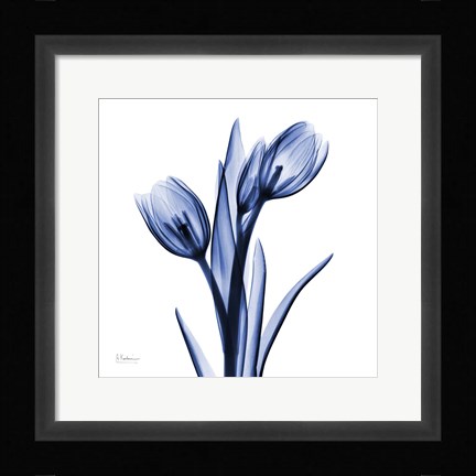 Framed Enchanted Indigo Tulips Print