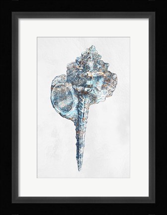 Framed Urban Sea Shell 1 Print