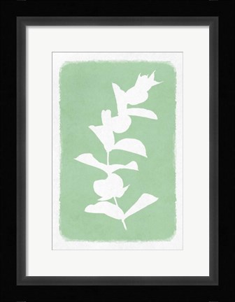 Framed Soft Botanical Feelings 2 Print