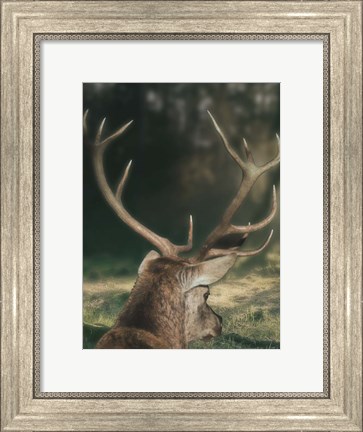 Framed Wandering Buck Print