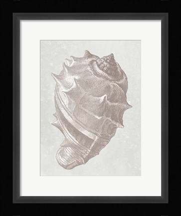 Framed Coastal Bliss 2 Print