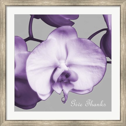 Framed Thankful Orchids Print