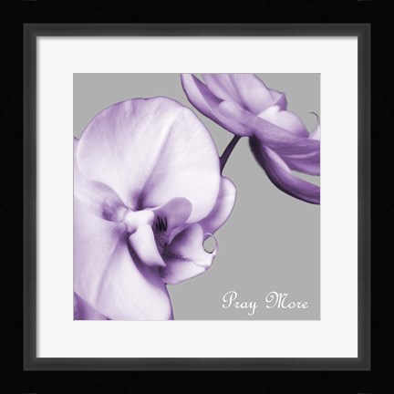 Framed Praying Orchids Print