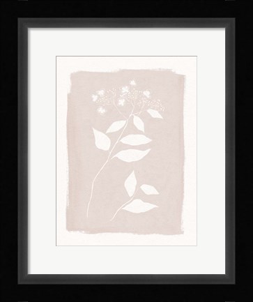 Framed Blushed Print